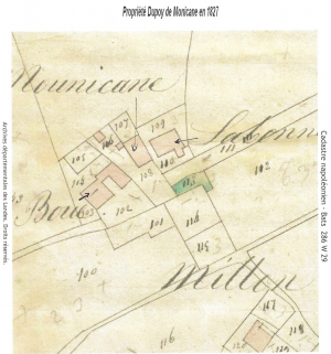 plan propriété Dupoy Monicane.jpg
