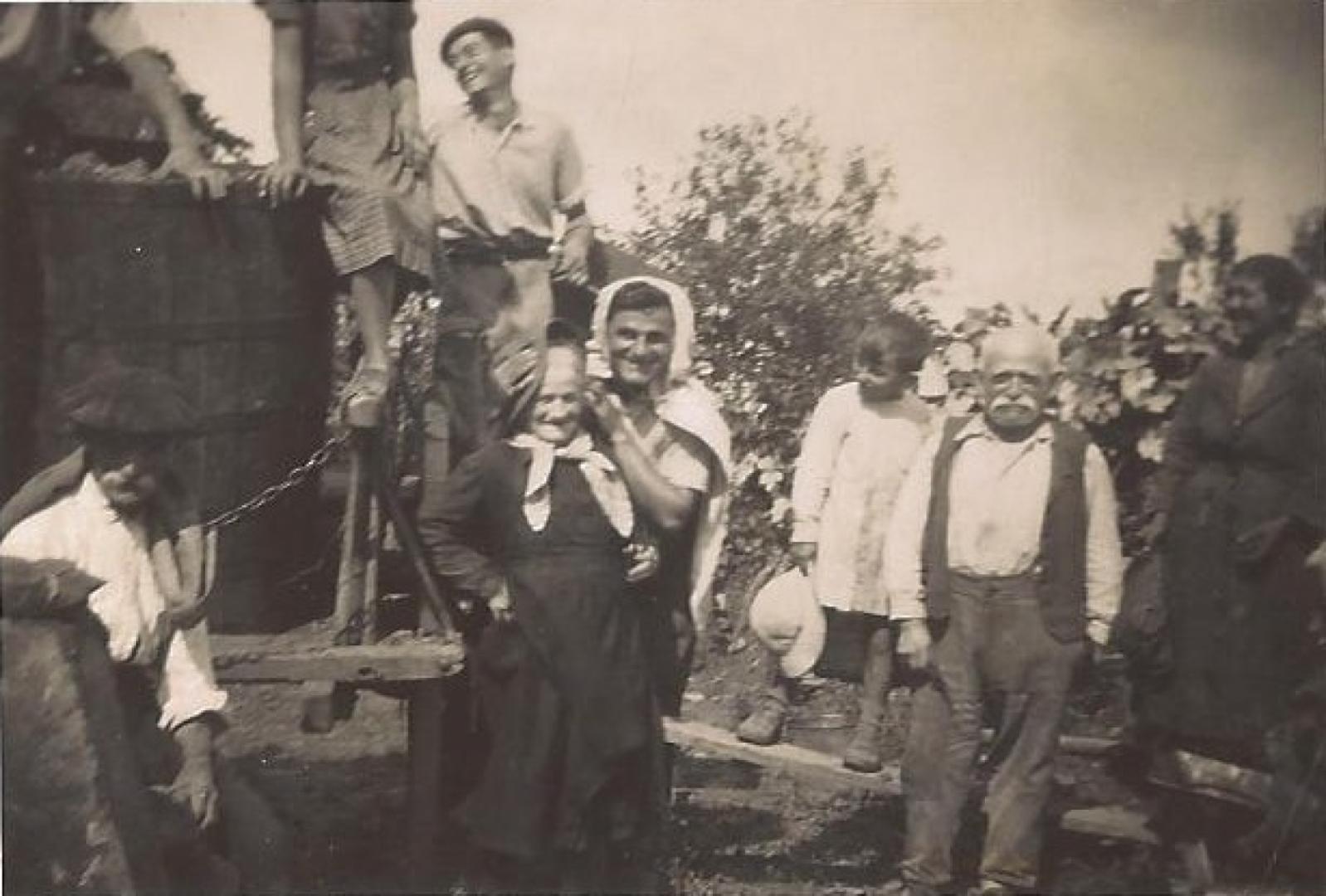 vendanges2.jpg