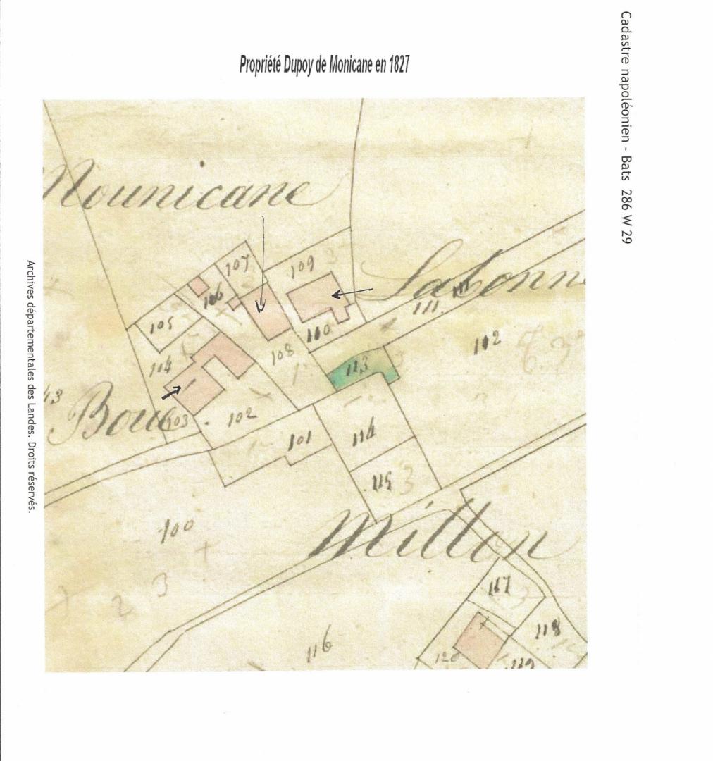 plan propriété Dupoy Monicane.jpg